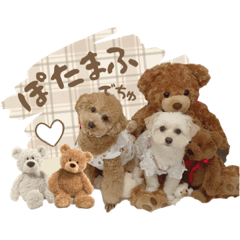 hana_20220711080351