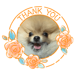 matsu_20220711141222