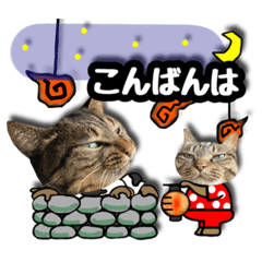 michiko_20220711080403
