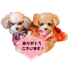 yuina_20220711163256