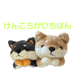maku_20220709150027