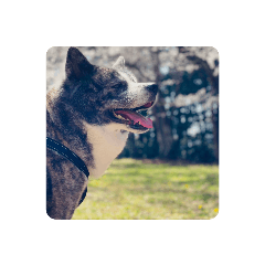 emily_20220712061809