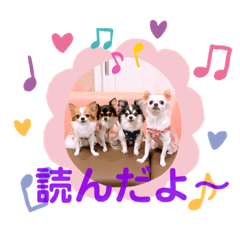 coco&momo_20220711182022