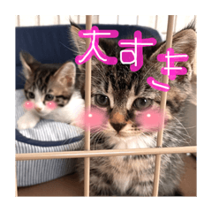 hikaru_20220712005308
