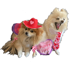 Banjo & Piccolo - Puppy Love