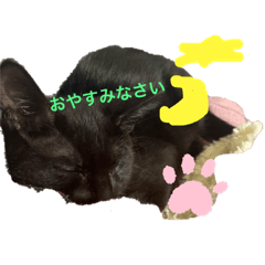 rina_20220711182556