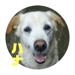 hana_20220711215426