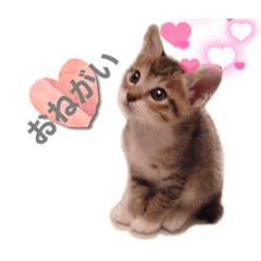 Emily_20220712002121