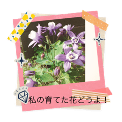 やからね