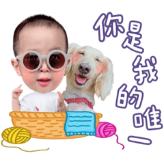 奶油臘腸狗-豆豆7歲啦♪(´ε｀ )