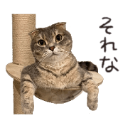 m_20220712155325