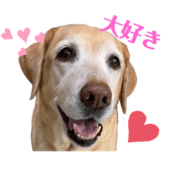 Kaori_20220713080222