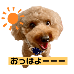 lun_20220713092924