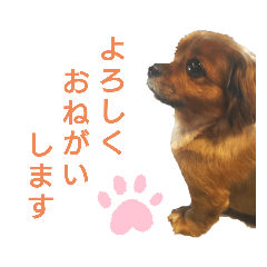 tommy_20220713002208