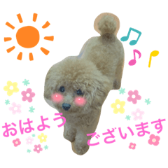 kuu_20220712164112