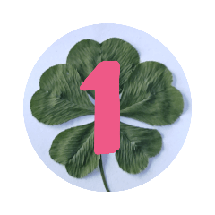 5leaves