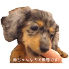 momoko_20220712193814