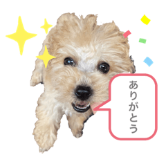 Tommy_20220712204319