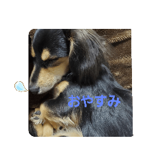 daihukuan_20220712204619