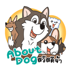 About dog service