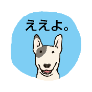 Canaan Dog_20220712215316