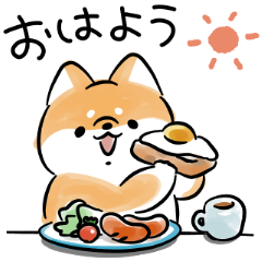 Shiba Inu Dog