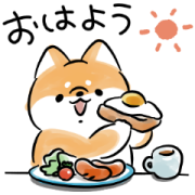 Shiba Inu Dog