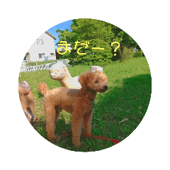 hana_20220714092759