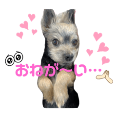 mizuki_20220713210725