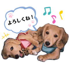 TOMOMI_20220713213453