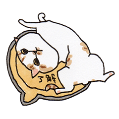 Red tabby and white cat sticker