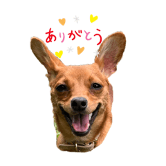 Takuya_20220713212016