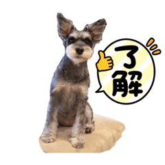 KAZUKI_20220714173523