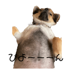 Shiho_20220714155352