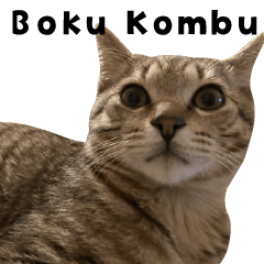 BOKU KOMBU