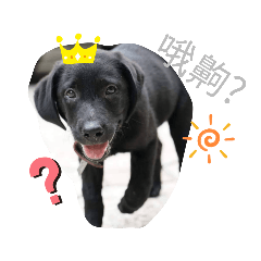 拉拉日常三代