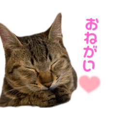 rina_fuurai