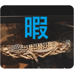 michico_20220713222822