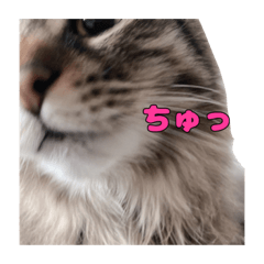 yun_20220714210722