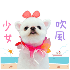 芹芹專屬