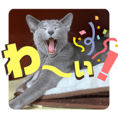 Kinaco_20220715113358