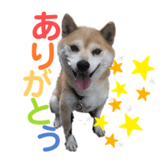 ayano_20220715050152