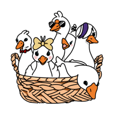 geese gang
