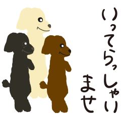 Honorific sticker of 3color toy poodle