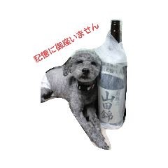 Falcon_20220715124556