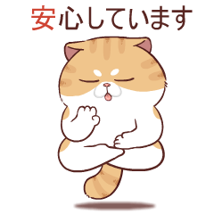 Sumo Cat V.3 : V. Japan