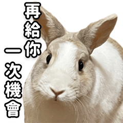 Rabbit Naiji