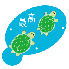 Turtle-kun's daily life