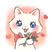 Fluffy cat 2nd