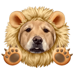 PYOKOTAN_20220715174911